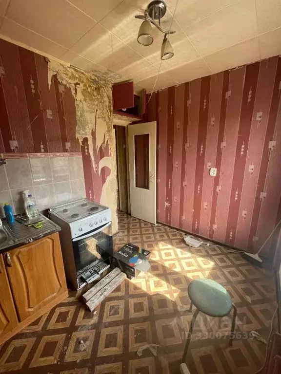 1-к кв. Вологодская область, Череповец Архангельская ул., 37Б (29.7 м) - Фото 2