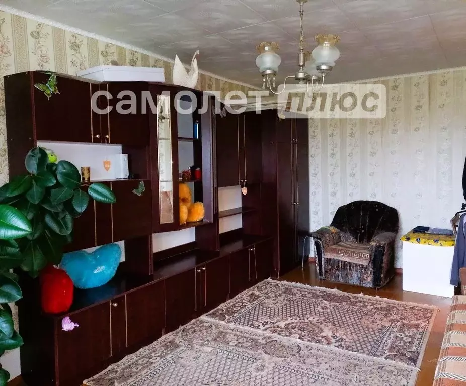 1-к кв. Вологодская область, Шексна рп, Шексна Северная мкр ул. Труда, ... - Фото 2