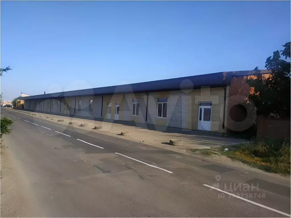 Помещение свободного назначения в Краснодарский край, Ейск Киевская ... - Фото 1