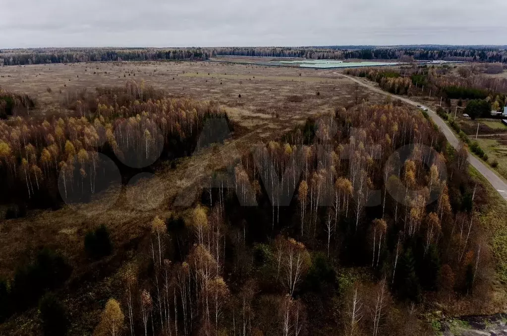 Участок 8 сот. (СНТ, ДНП) - Фото 0