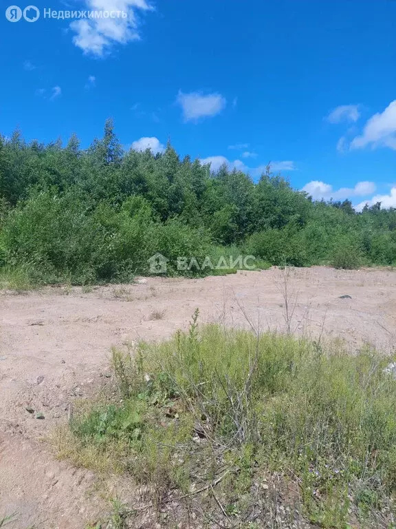 Участок в Сертоловское городское поселение, садоводческое ... - Фото 0