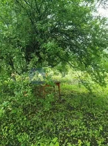 Дом в Тюменская область, Тюменский район, Лесник-2 СНТ ул. ... - Фото 1