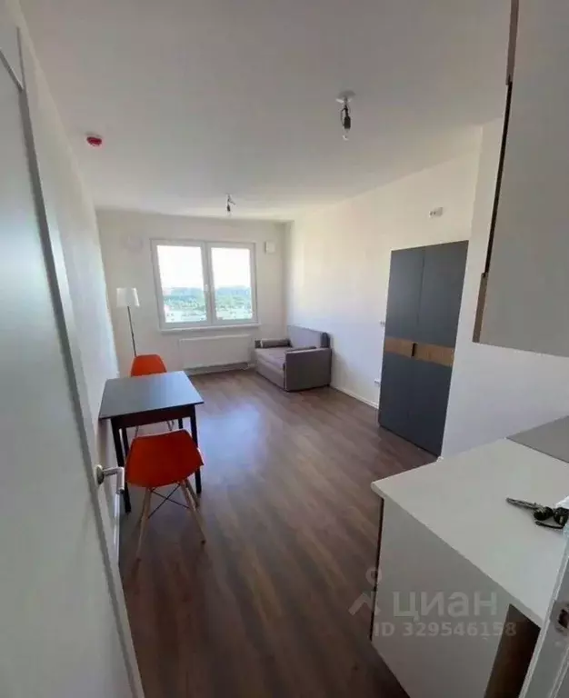 Студия Санкт-Петербург ул. Пейзажная, 24к1 (20.0 м) - Фото 2
