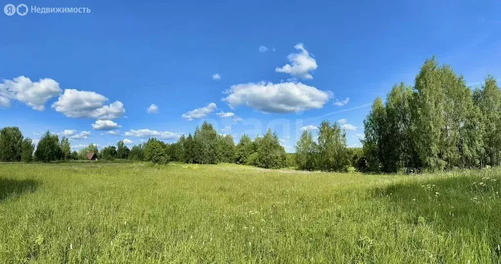 Участок в Ярославская область, Тутаевский муниципальный округ, деревня ... - Фото 2