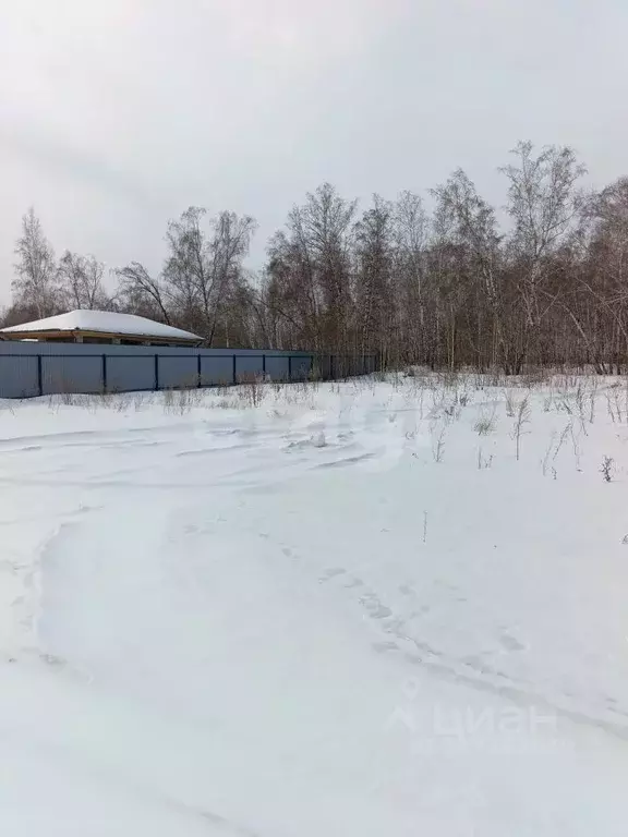 Участок в Красноярский край, Емельяновский муниципальный округ, пос. ... - Фото 2