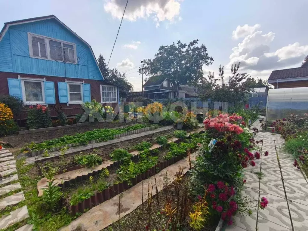 Дом в Новосибирская область, Новосибирск Волна СНТ, ул. Яблочная (70 ... - Фото 2