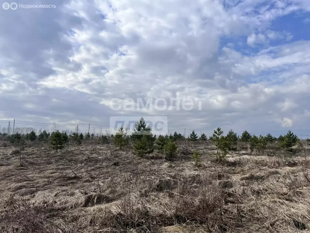 Участок в Липецкая область, Задонский муниципальный округ, село Казино ... - Фото 1