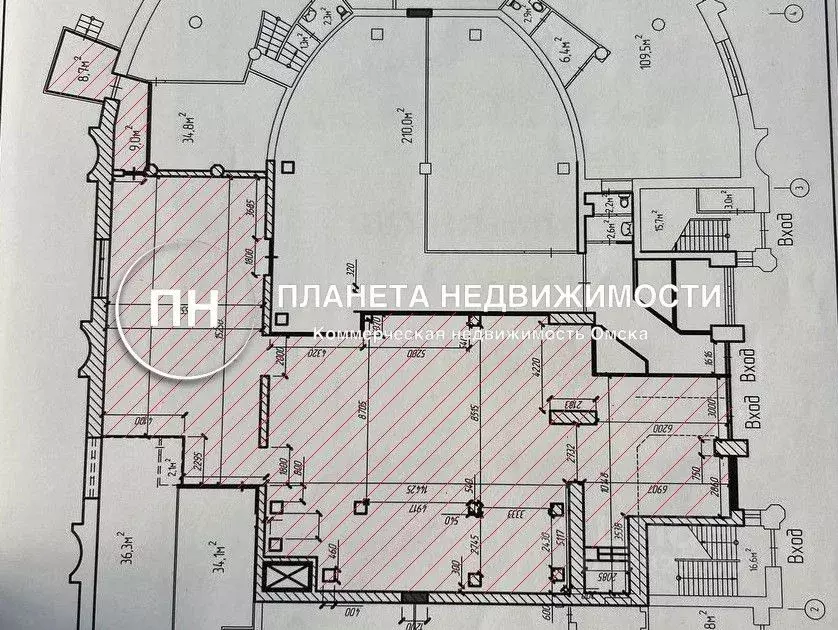 Помещение свободного назначения в Омская область, Омск ул. Серова, 19 ... - Фото 2