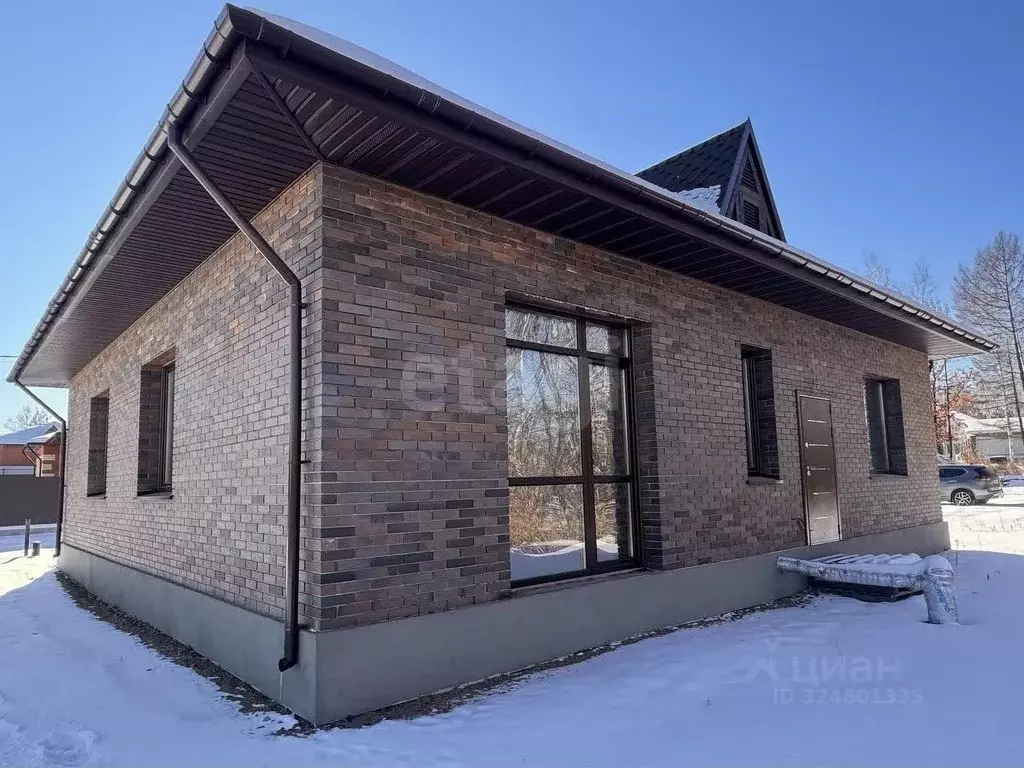 Дом в Амурская область, Благовещенский район, с. Чигири ул. ... - Фото 1