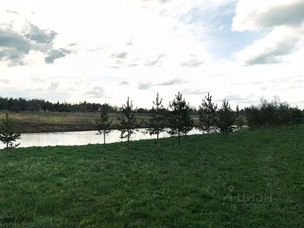 Участок в Ленинградская область, Тосненское городское поселение, д. ... - Фото 2