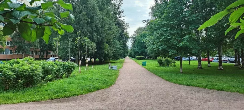 1-к кв. Санкт-Петербург аллея Поликарпова, 8к1 (32.4 м) - Фото 1