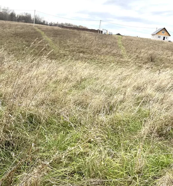 Участок в Кемеровская область, Кемеровский муниципальный округ  (6.0 ... - Фото 1