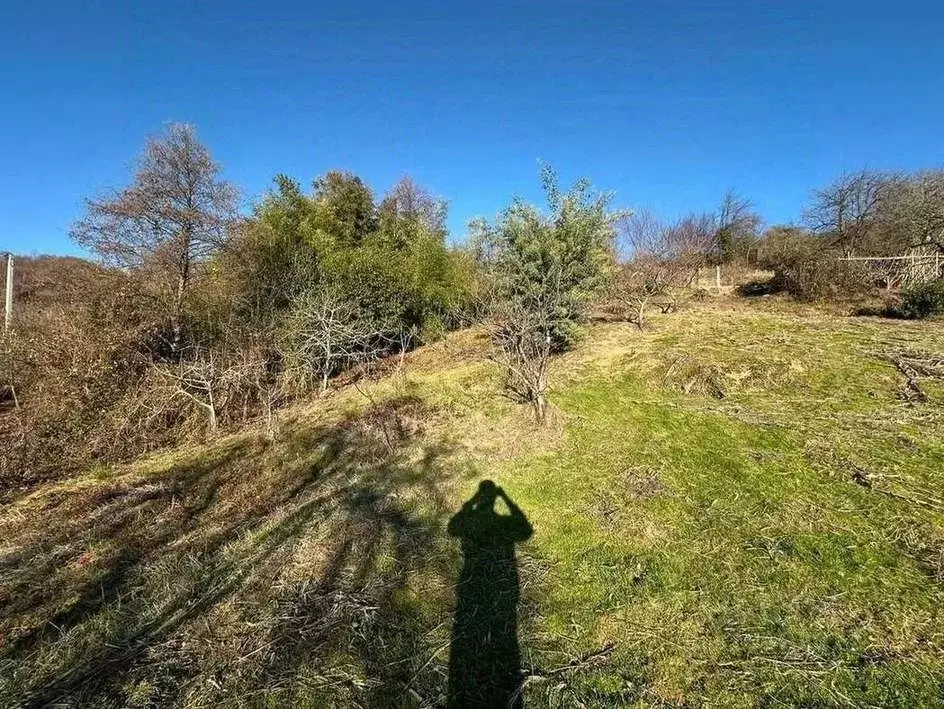 Участок в Краснодарский край, Сочи городской округ, с. Нижняя Шиловка ... - Фото 1