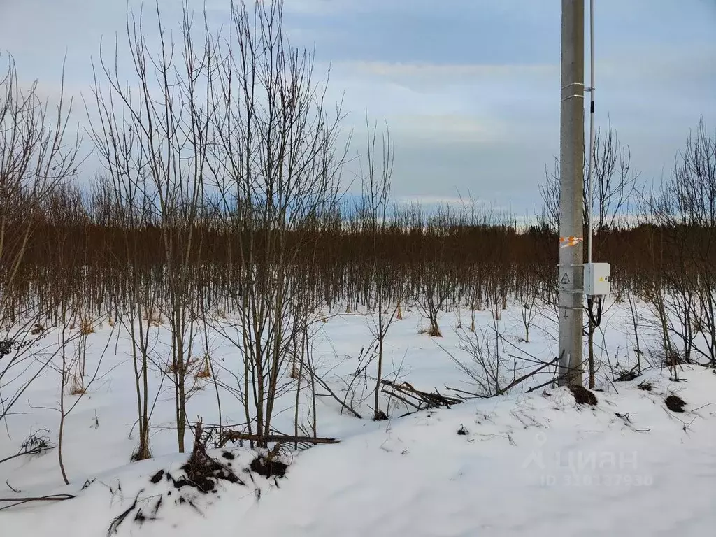 Участок в Московская область, Рузский муниципальный округ, д. Леньково ... - Фото 0