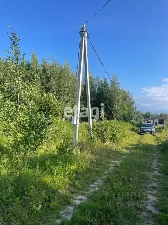 Участок в Ленинградская область, Всеволожский район, Куйвозовское ... - Фото 1