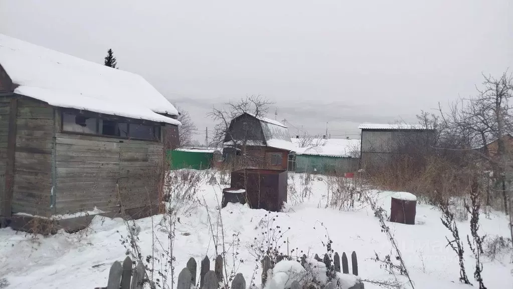 Участок в Омская область, Омск СОСН Путеец-1 тер.,  (6.0 сот.) - Фото 2