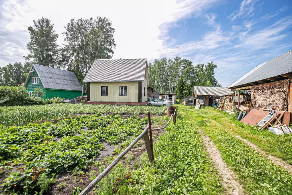 Дом в Бердск, территория НСТ Отдых, Цветочная улица (45 м) - Фото 0