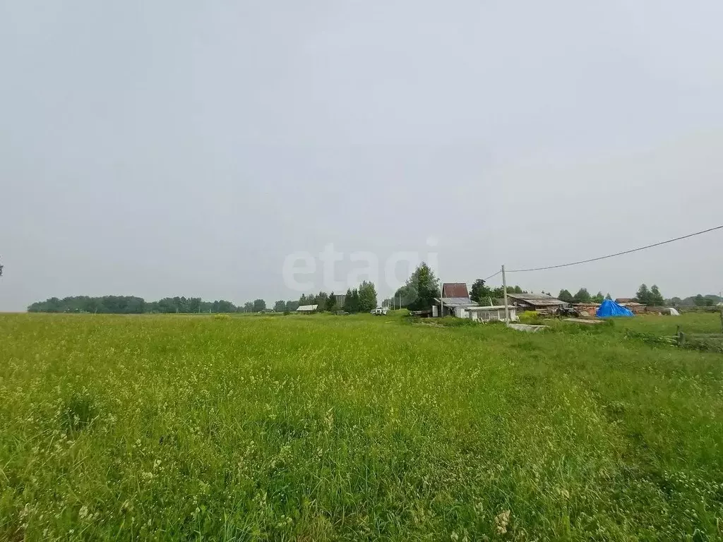 Участок в Кемеровская область, Кемеровский муниципальный округ, пос. ... - Фото 1