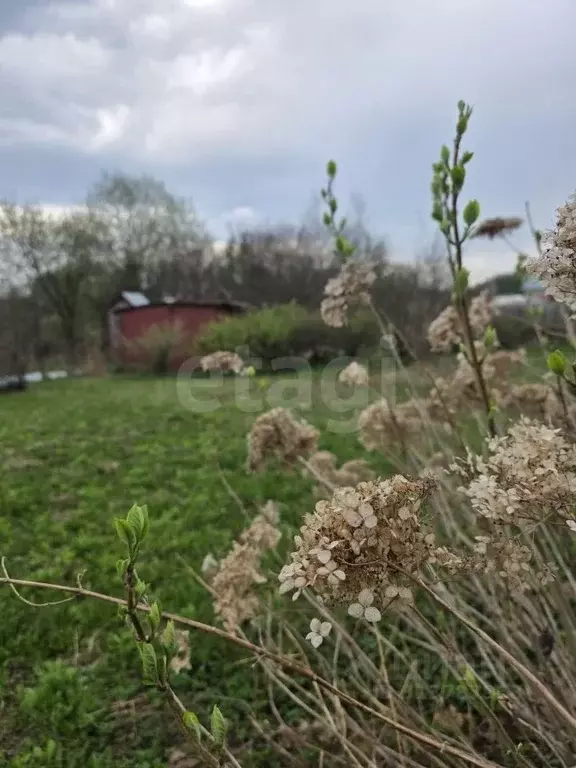 Дом в Калужская область, Дзержинский район, Кондрово городское ... - Фото 2