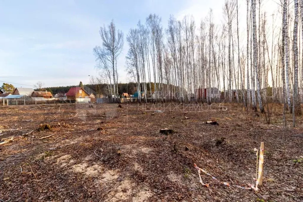 Участок в Тюменская область, Тюменский район, Искатель садовое ... - Фото 1