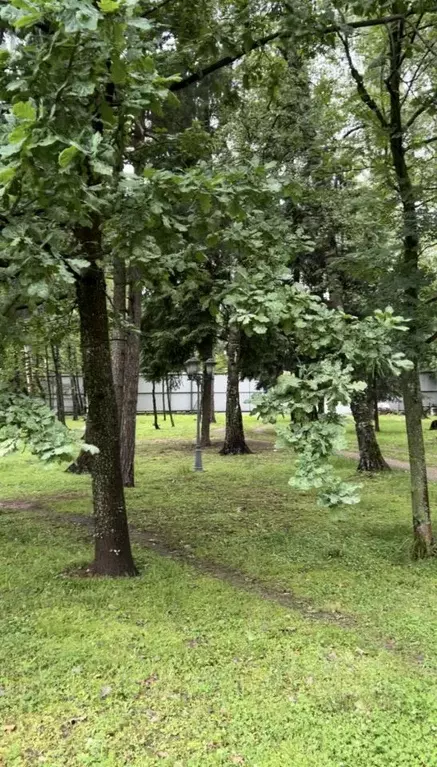 Участок в Московская область, Одинцовский городской округ, Горки-2 ... - Фото 1