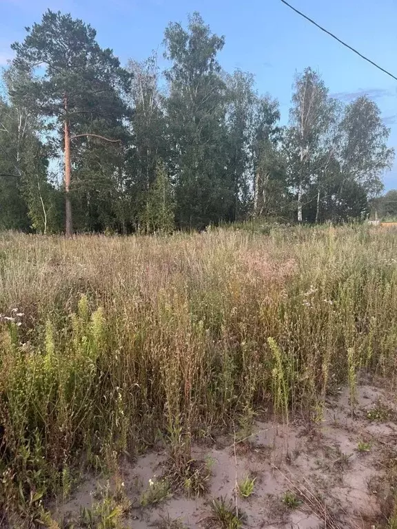 Участок в Алтайский край, Первомайский район, Бобровский сельсовет, ... - Фото 1