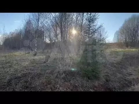 Участок 6,05 га (СНТ, ДНП) - Фото 1