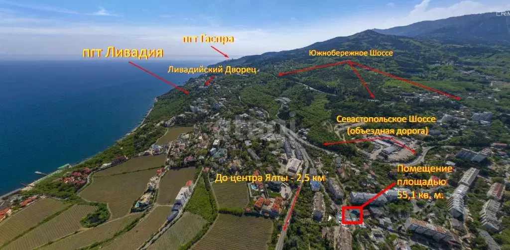 Офис в Крым, Ялта ул. Сеченова, 47 (55 м) - Фото 2