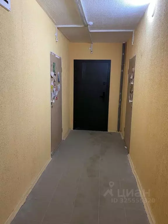 Студия Владимирская область, Владимир ул. Лакина, 2Б (33.2 м) - Фото 2