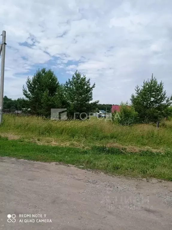 Участок в Алтайский край, Калманский район, с. Зимари Боровая ул., 2 ... - Фото 1