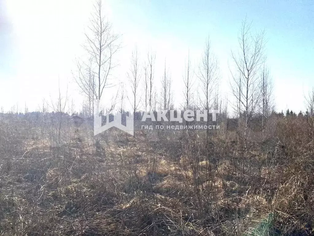 Участок 9,2 сот. (ИЖС) - Фото 1