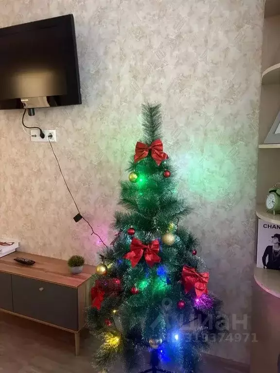 1-к кв. Тульская область, Узловая Магистральная ул., 55 (31.0 м) - Фото 2