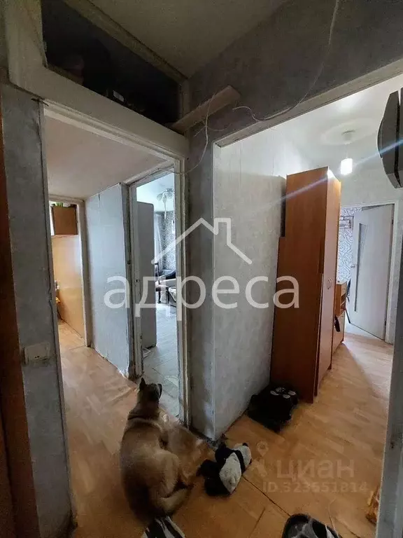 2-к кв. Самарская область, Самара пер. Карякина, 5 (41.4 м) - Фото 1