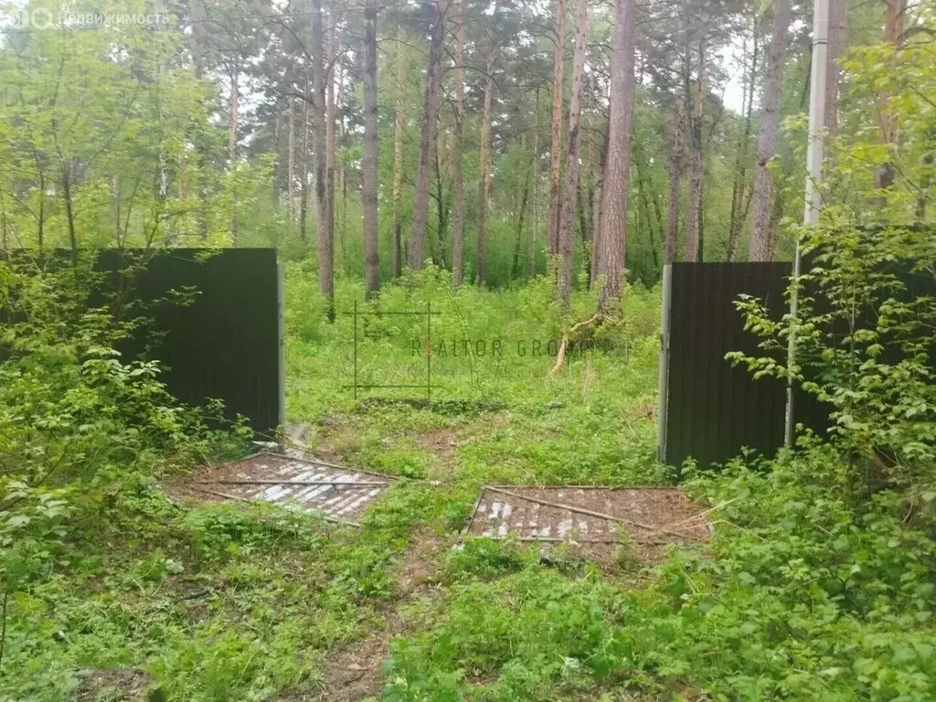 Участок в Мочищенский сельсовет (15 м) - Фото 1