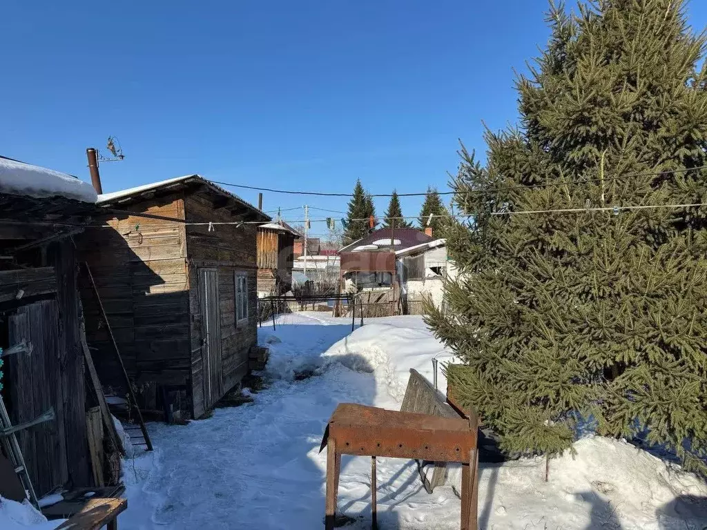 Дом в Новосибирская область, Бердск ул. Радищева, 95 (31 м) - Фото 1