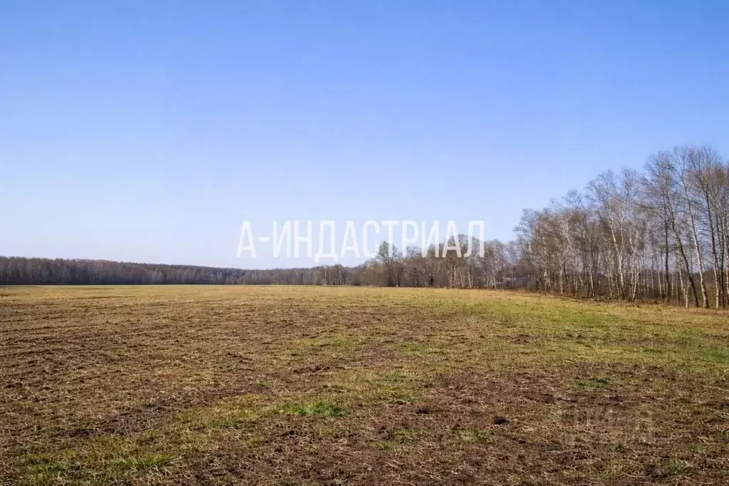 Участок в Московская область, Домодедово Белые Столбы мкр, ул. ... - Фото 0