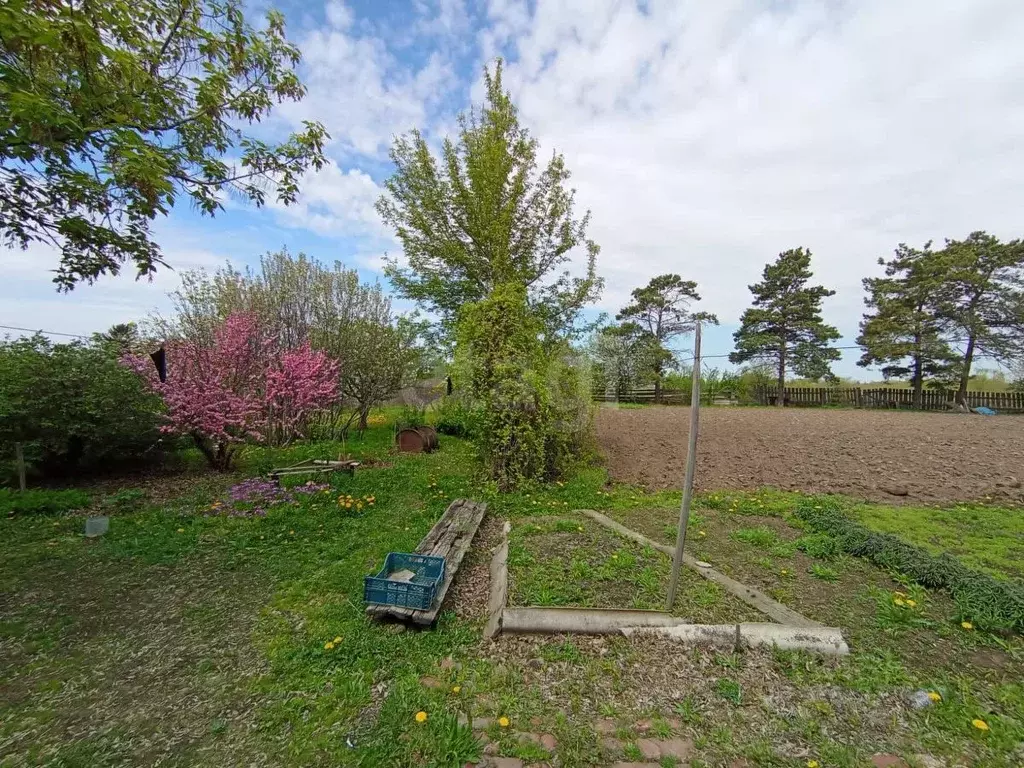 Дом в Амурская область, с. Ивановка ул. Бондаренко, 1 (33 м) - Фото 1