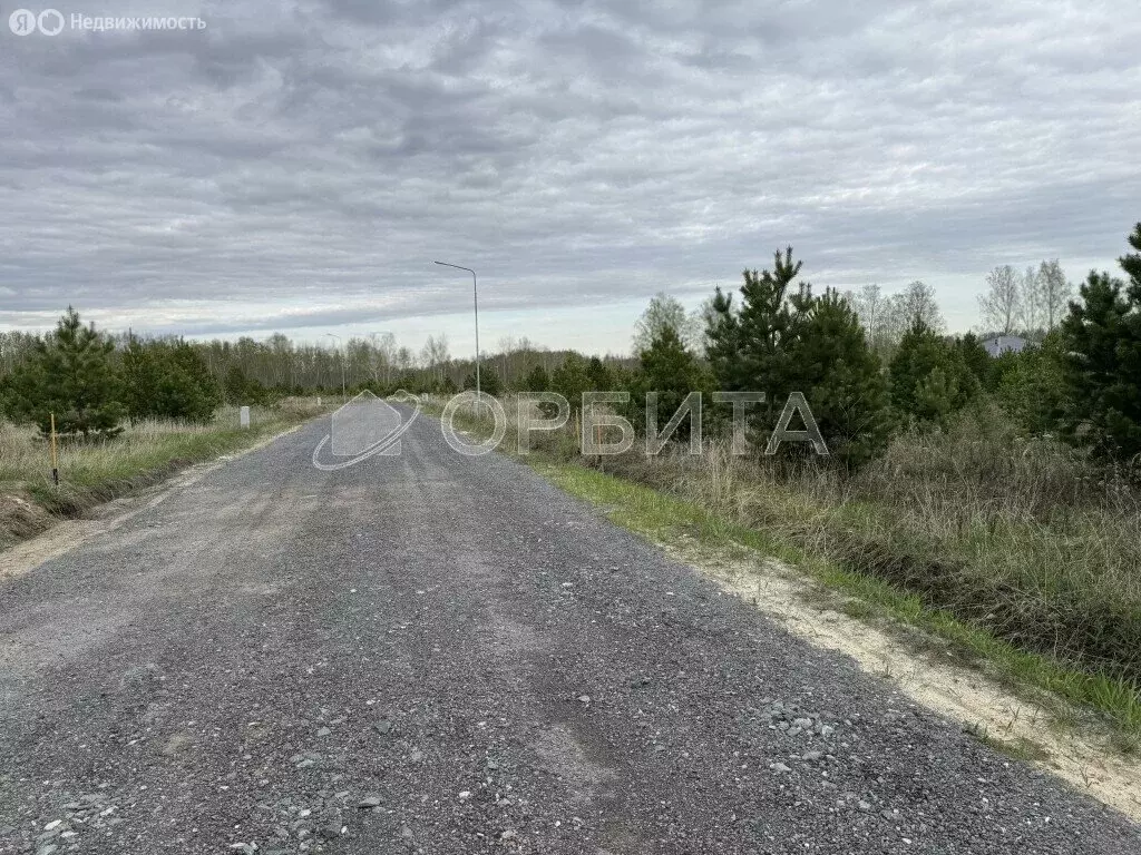 Участок в Тюменская область, Ялуторовский муниципальный округ, село ... - Фото 1