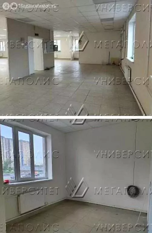 Помещение свободного назначения (282 м) - Фото 1