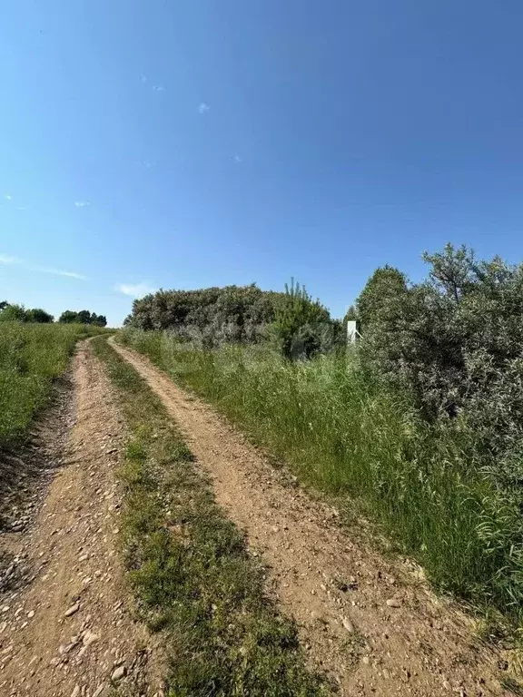 Участок в Иркутская область, Усть-Илимский муниципальный округ, Родник ... - Фото 1