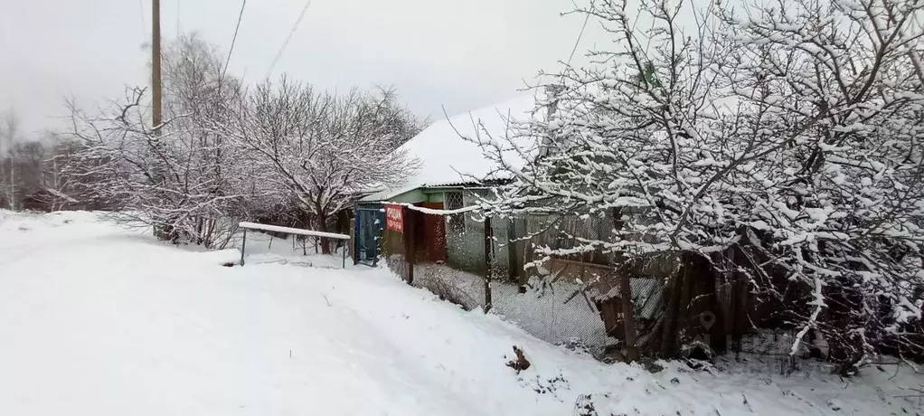 Дом в Смоленская область, Ярцево 1-я Рабочая ул. (48 м) - Фото 0