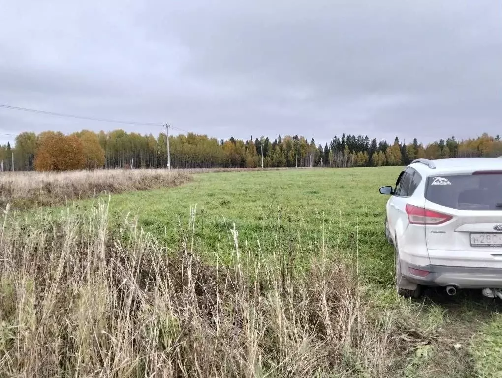 Участок в Пермский край, Пермский муниципальный округ, д. Заозерье ... - Фото 1