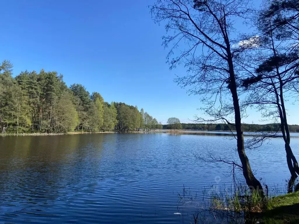 Дом в Московская область, Солнечногорск городской округ, д. Пятница 23 ... - Фото 1