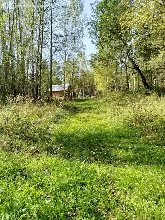 Участок в Псковская область, Невельский муниципальный округ, деревня ... - Фото 2