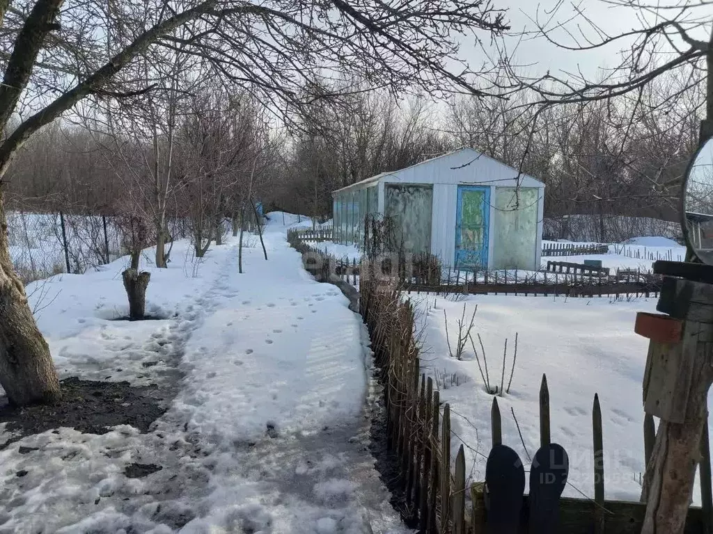 Дом в Белгородская область, Губкинский городской округ, с. Аверино  ... - Фото 1