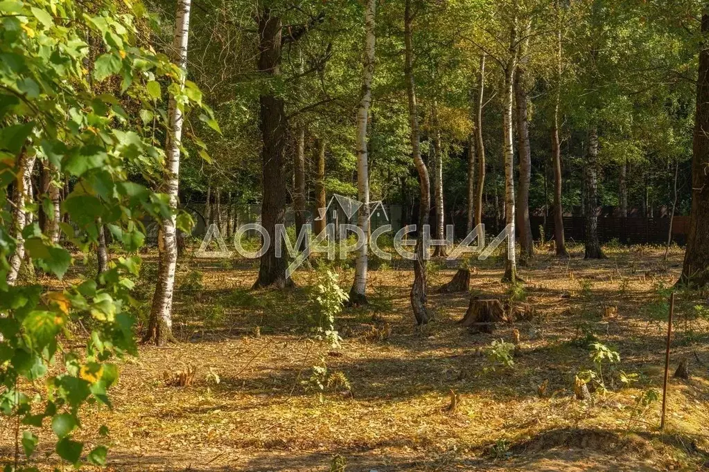 Участок в Московская область, Наро-Фоминский городской округ, д. ... - Фото 0