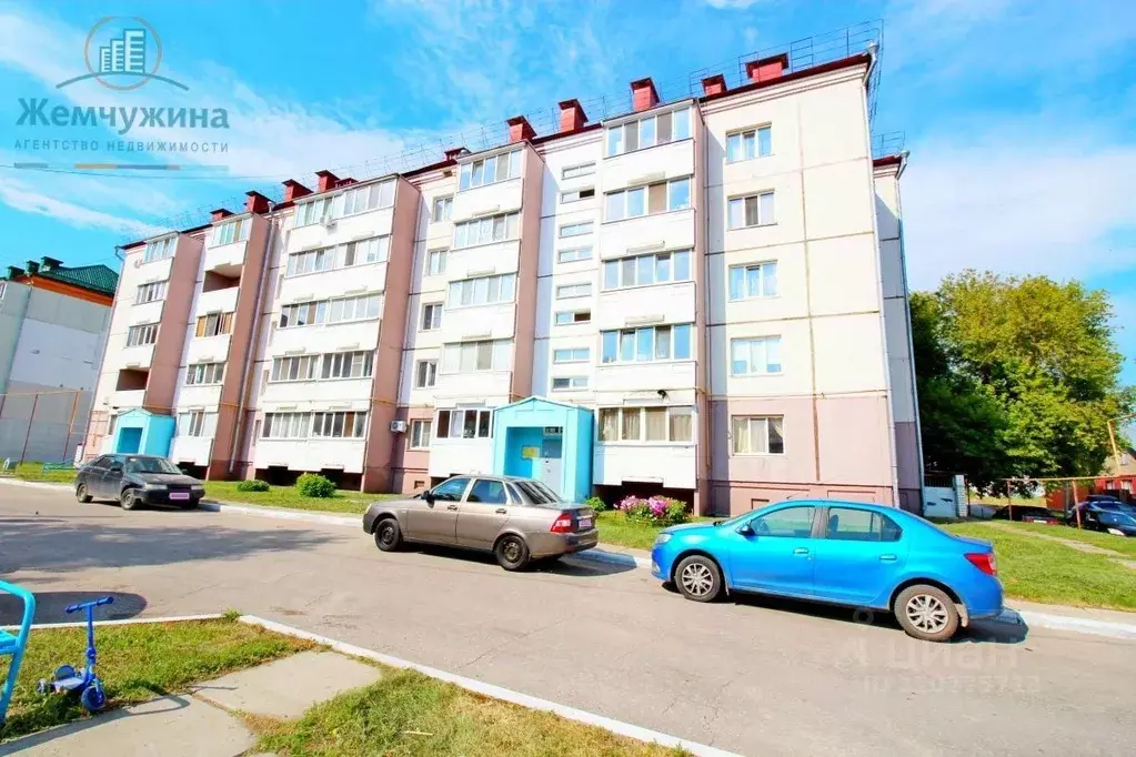 2-к кв. Ульяновская область, Димитровград ул. Осипенко, 29 (51.3 м) - Фото 1