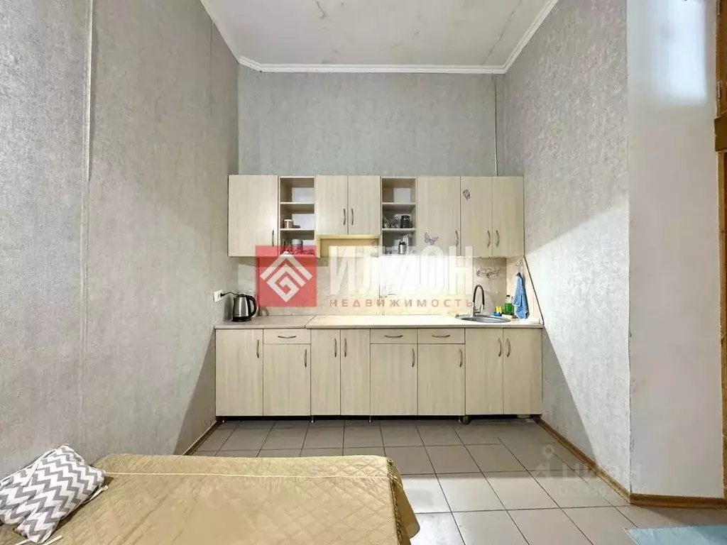 Студия Крым, Сакский район, с. Молочное ул. Школьная, 5 (16.7 м) - Фото 2