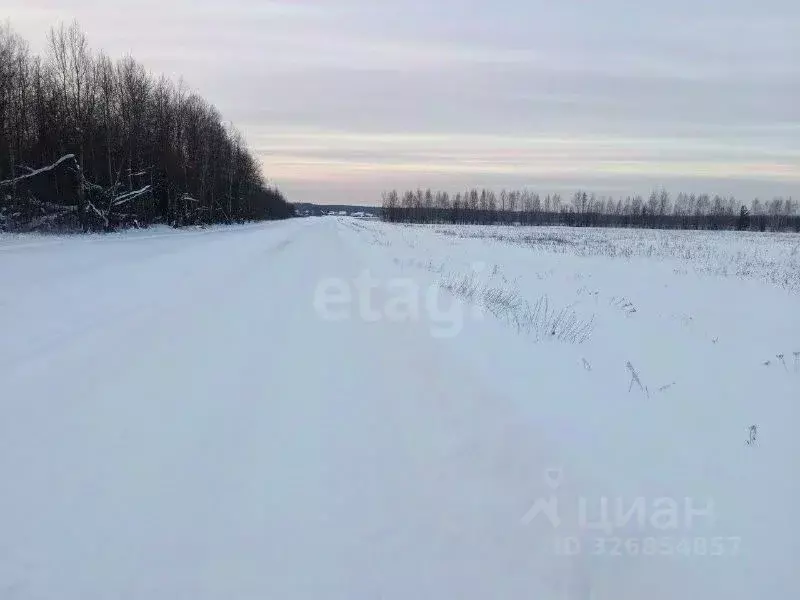 Участок в Костромская область, Кострома проезд Кружевной (8.9 сот.) - Фото 2