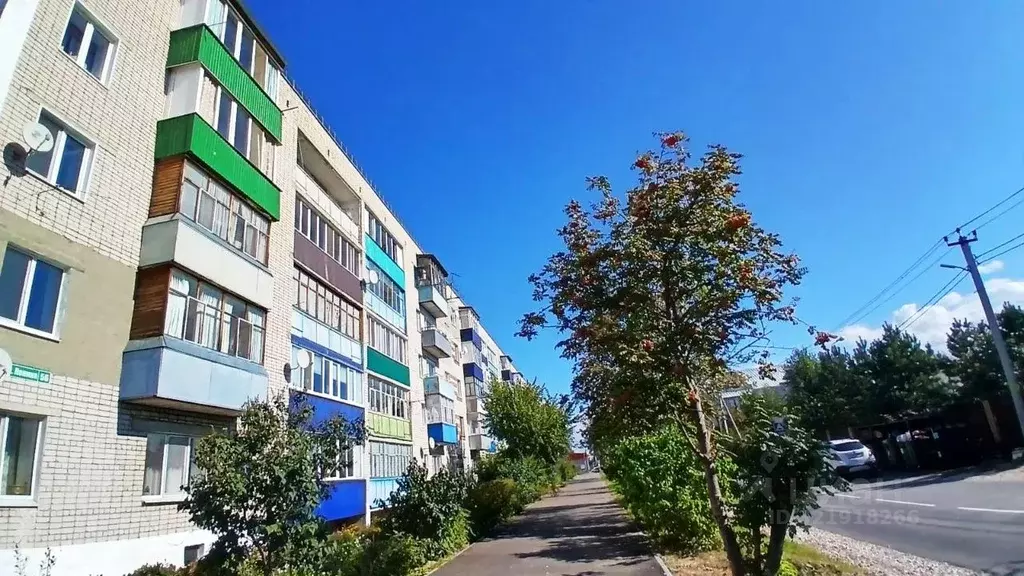 1-к кв. Татарстан, Зеленодольский район, Васильево муниципальное ... - Фото 0